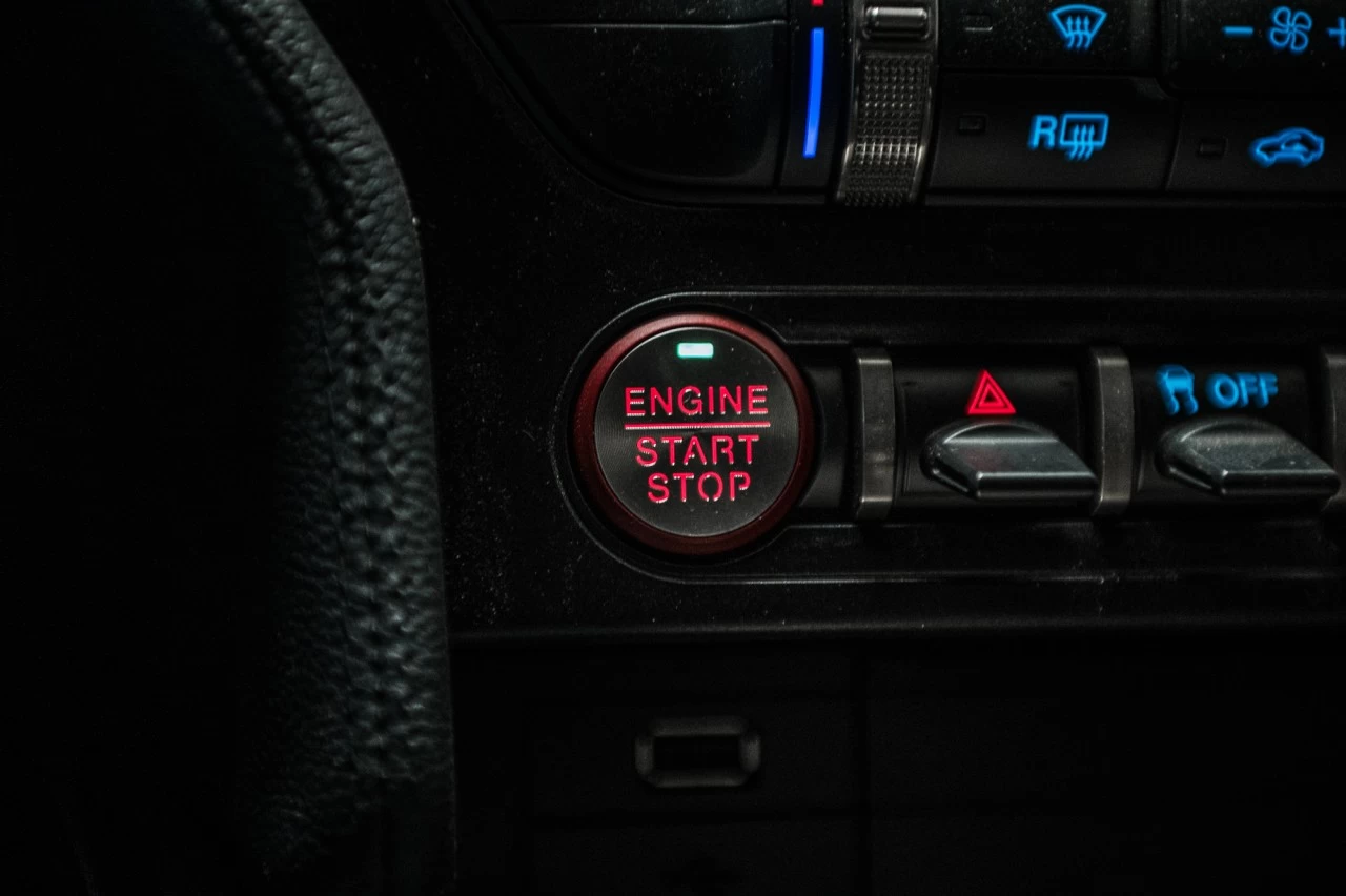 2020 Ford Mustang Shelby Image principale