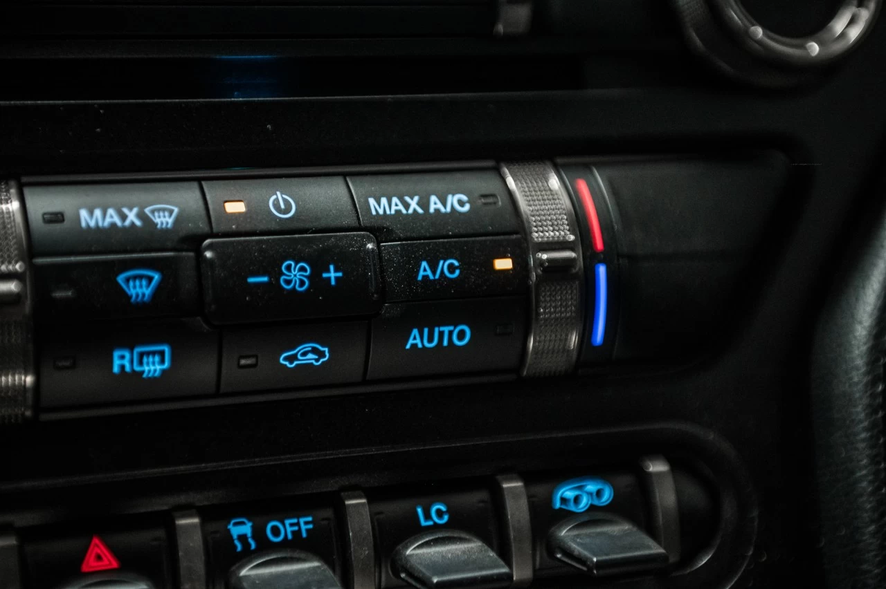 2020 Ford Mustang Shelby Image principale